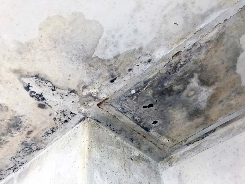 Water-damaged ceiling panels and wall