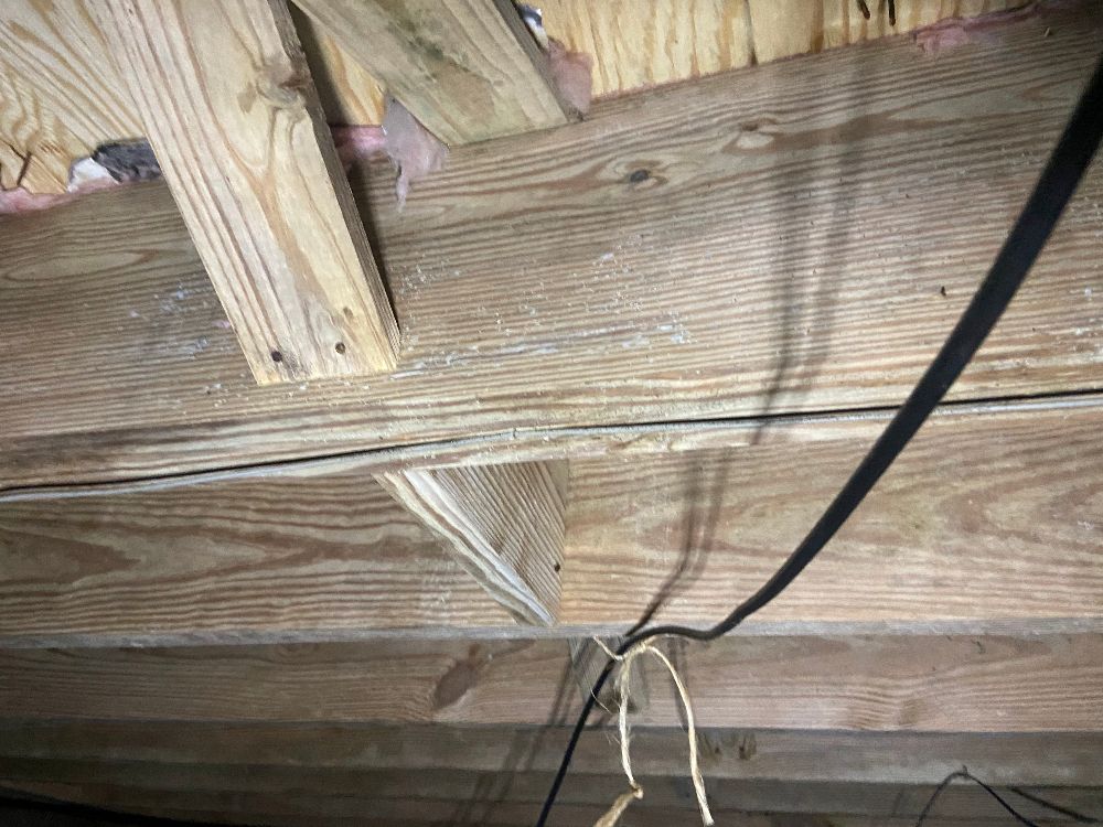 Crawl Space Inspection Project