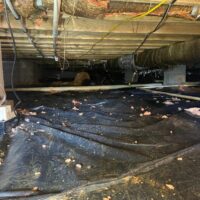 Professional Crawl Space Cleaning Services