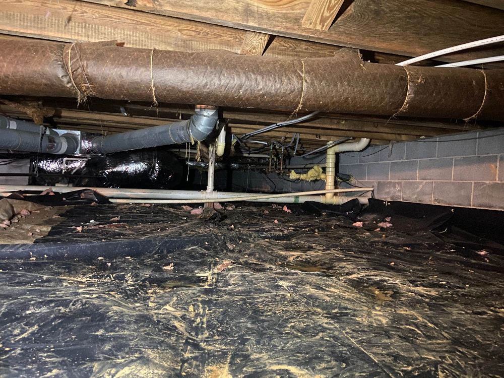 Quality Crawl Space Cleaning Project