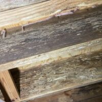 Quality Crawl Space Cleaning Service