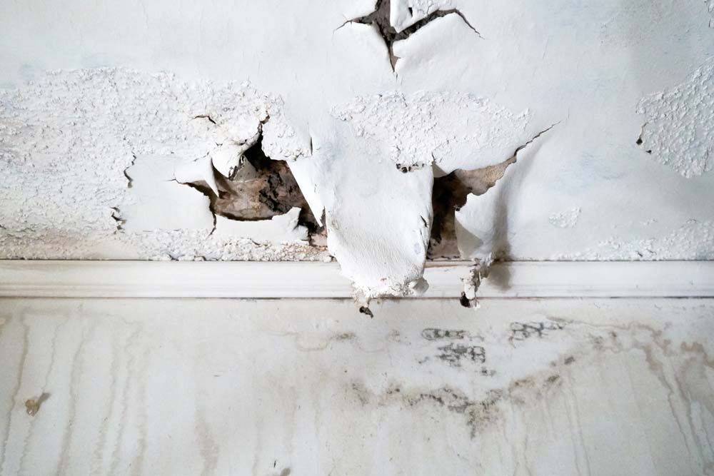 mold and water damage